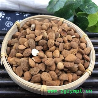 苦杏仁 选货  产地 陕西省图3