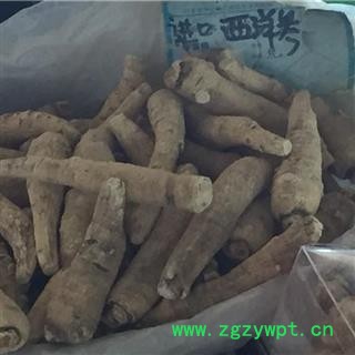 新辉药业西洋参 优质大条图2