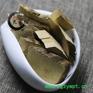 毛冬青选货 毛冬青根  乌尾丁 六月霜 细叶冬青 细叶青 苦田螺 山桐油 山冬青 毛披树 茶叶冬青图2