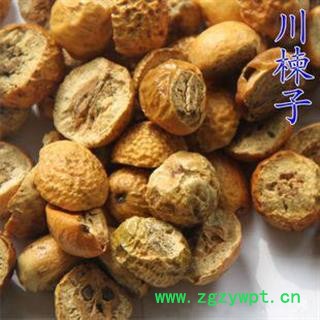 娟子中药批发 川楝子 金铃子 统货 产地 四川省南充市嘉陵区图2
