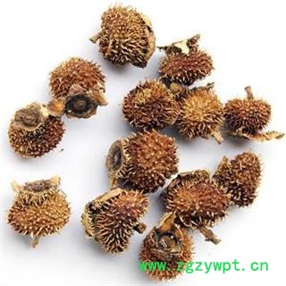 娟子中药 刺梨 正品 野生 别称 山王果 佛朗果 茨梨 木梨子 刺菠萝 送春归 刺酸梨子 九头鸟 文先果 统货 没有杂质 产地 四川省图2