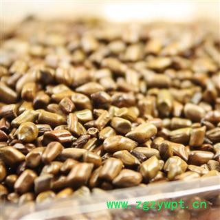 娟子中药批发 决明子 统 产地 河南省平顶山市宝丰县量大从优图3