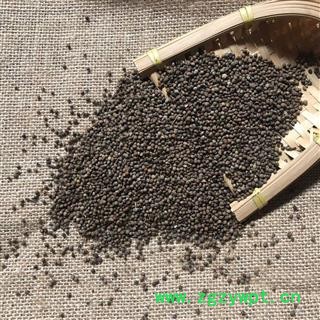 紫苏子 紫苏子净货 产地 河北省 买好药找娟子图2