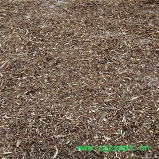 野生柴胡 选段产地 河南省平顶山市汝州市图3