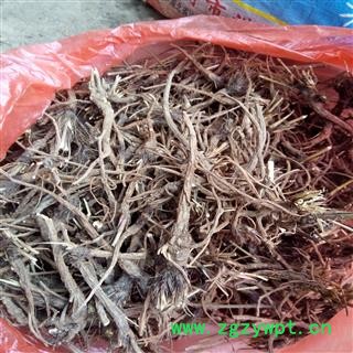 野生柴胡 选段产地 河南省平顶山市汝州市图2