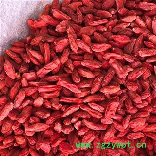 枸杞子 枸杞子 380粒\50g 产地 宁夏回族自治区 买好药找娟子图2