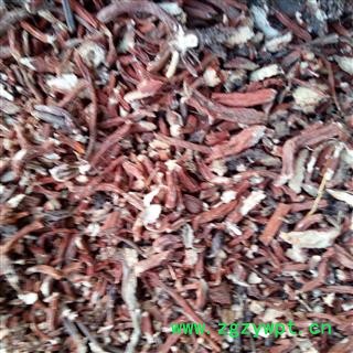 丹参 选种植丹参条 产地 河南省平顶山市汝州市图3