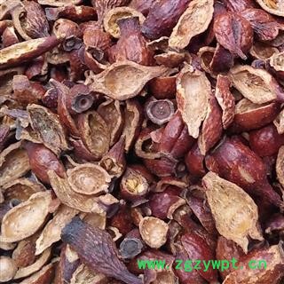 娟子中药 金樱子 金樱子 肉 产地 江西省图3