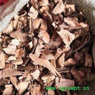 野葡萄根 野生山葡萄根 产地 河南省平顶山市汝州市图4