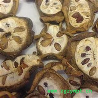 娟子中药 八月札 预知子畜蓄子、木通子、八月瓜、八月炸、羊开口 统货 产地 陕西省图2