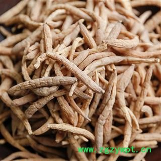 太子参大选（200粒50克）不以次充好重在品质吉康药业图2