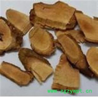 猕猴桃根 藤梨根 猕猴桃树根图2