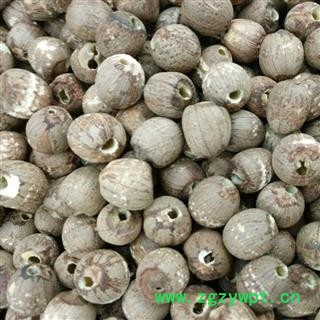 红莲子 不抽心统货 产地 山东省图2