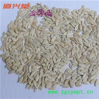 黄瓜子 黄瓜子统货 产地 河北省 批发各种冷背中草药个子图2