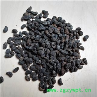 女贞子 女贞子腰果净货 产地 安徽省图2