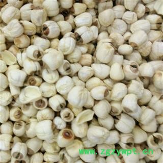 莲子 食用白莲子 产地 浙江省图2