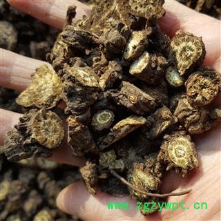 吉康药业羌活  蚕羌 蚕羌活 羌活 羌活片 选片香羌活 产地 四川省图2