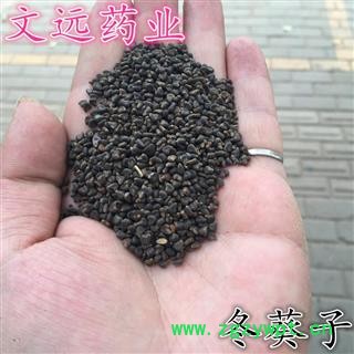 冬葵子 文远药业 批发 零售各种中药材 花茶 矿石  产地 河南省南阳市市辖区图3