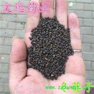 冬葵子 文远药业 批发 零售各种中药材 花茶 矿石  产地 河南省南阳市市辖区图2