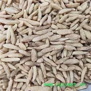 麦冬 川麦冬统货今年新货图2