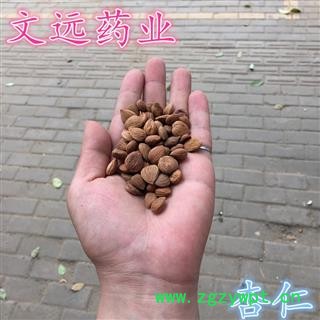 苦杏仁 杏仁 产地 河北省图3