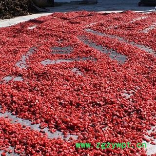 山萸肉 山茱萸 产地直供新货已到 西峡县 产地 河南省南阳市西峡县图4