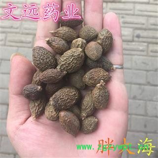 胖大海 统装 产地 广西壮族自治区南宁市市辖区图2