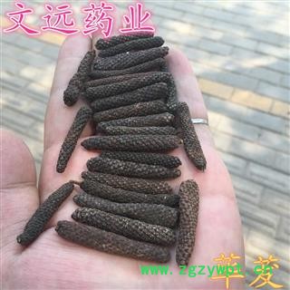 荜拨 统装 荜菝 荜芨、毕勃、鼠尾、野毕菝 产地 广西壮族自治区玉林市市辖区图2