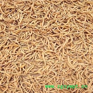 太子参 太子参小选 颜色好 产地 贵州省新货重在品质吉康药业图2