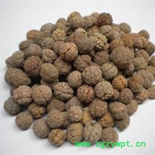 白豆蔻 白豆蔻选货 产地 广西壮族自治区图2