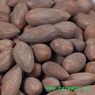 榧子 香榧 榧实 玉山果 赤果 玉榧 选 产地 浙江省图2