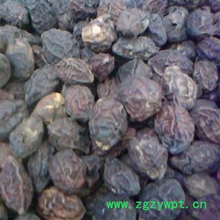 诃子 生诃子 诃子肉 统 产地 青海省图4