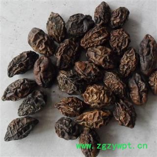 诃子 生诃子 诃子肉 统 产地 青海省图3