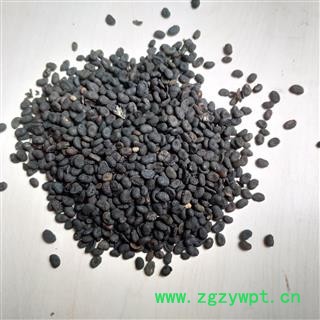 补骨脂 纯度好无杂质 产地 云南省文山壮族苗族自治州文山县图2