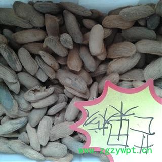 杧果核 芒果核 长寿果 芒芋图2