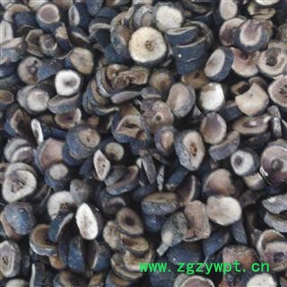 枳实 统货 产地 浙江省衢州市龙游县图2