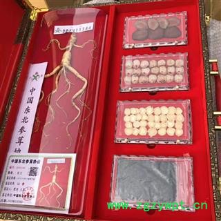 新辉药业精装人参 人参五宝盒套装图2