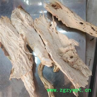 新辉药业中药材仙人掌 仙巴掌 霸王树 火焰 火掌 牛舌头图2