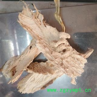 新辉药业中药材仙人掌 仙巴掌 霸王树 火焰 火掌 牛舌头图3