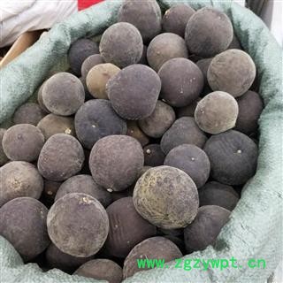 化橘红 化橘红大个 产地 广东省图2