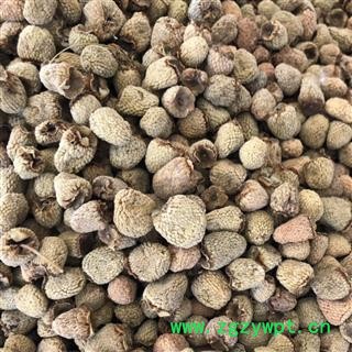 覆盆子 覆盆子选货 产地 浙江省 买好药找娟子图3