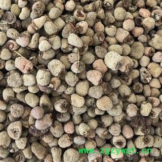 覆盆子 覆盆子选货 产地 浙江省 买好药找娟子图4