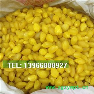 娟子中药批发 白果 果仁 产地 安徽省安庆市郊区图3