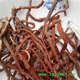 丹参 选条 产地 河南省平顶山市汝州市图3