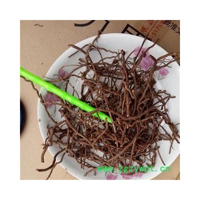 茜草 选小 产地 河南省平顶山市汝州市