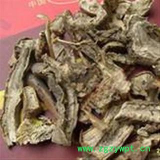 中药材仙人掌 观音掌 仙巴掌 霸王树 新货图2