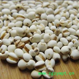 娟子中药  薏仁 大粒薏米仁 产地 贵州省贵阳市南明区图4