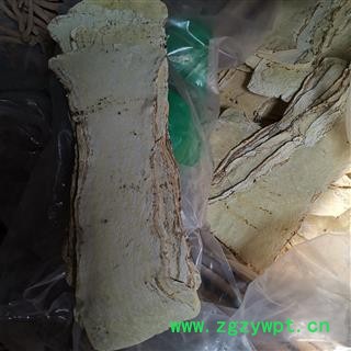 甘肃黄芪黄芪压片25-30公分 黄芪宽带片 大压片实物拍照量大从优图3