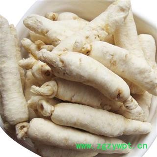 吉康药业白参 白糖参500克一袋纯干货大个头图2