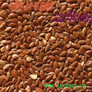 胡麻子 亚麻子统货 产地 内蒙古自治区 批发经营各种冷背中草药个子图3